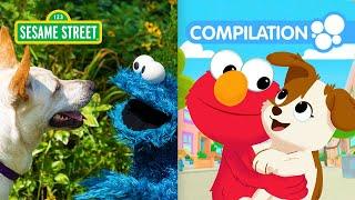Sesame Street Elmos Pets Compilation  90 Minutes