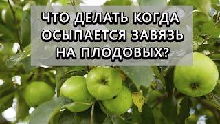 Опадает завязь на плодовых? Как это избежать - 100% результат