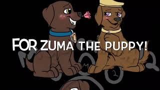 Zuma x Princess for ZUMA THE PUPP