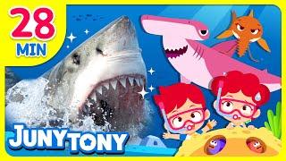 Shark Song + More Sea Animal Songs  Razor Sharp Teeth  Baby Shark BEST Shark Songs  JunyTony