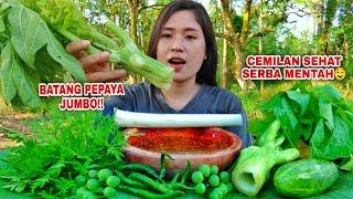 MUKBANG BATANG POHON PEPAYA MENTAH LALAPAN MENTAH TANPA NASI#mukbanglalapan#mukbang#asmr#papayatree