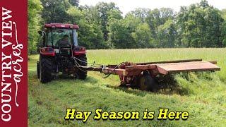 Cutting Hay with 56 Year Old Mower found in a barn.  This has got to be better than a sickle bar.