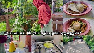 கேட்கும்போதே பயமாக இருக்குSrilankan Thriposha recipeGardening vlogMy kitchen by fasa