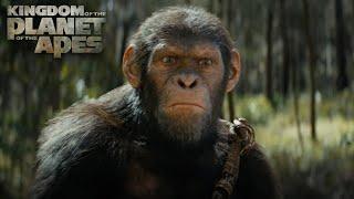 Kingdom of the Planet of the Apes  Exclusive IMAX® Trailer  In Cinemas May 10