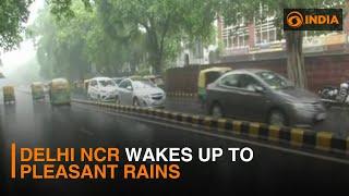 Delhi NCR wakes up to pleasant rains  DD India