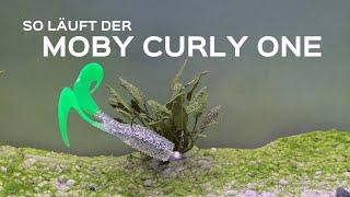 Der Curly One von Moby Softbaits - Doppelschwanz-Twister zum Hechtangeln