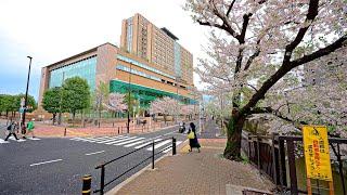 Afternoon walk through Itabashi-ku Tokyo Japan • 4K HDR