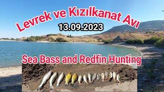 Levrek ve Kızılkanat Avı Sea Bass and Redfin Hunting  #caravanlife #perch #fishing #karavan #trips