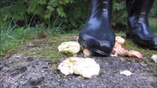 Some apple crushing with my rubber boots