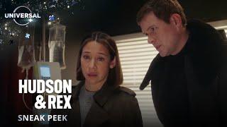 Hudson & Rex  Season Finale  Universal TV on Universal+