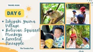 ISHIGAKI YAIMA VILLAGE • Touching Bolivian Squirrel Monkeys • Eating the Sweetest Pineapple