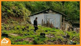 Return to rural life  Couple Renovate the bamboo house and complete the garden