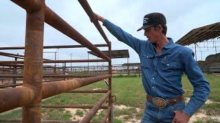 J.B. Mauney A bull riding legend who lived to tell about it - barely