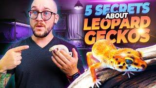 5 Things They NEVER TELL YOU About Getting A Leopard Gecko  MUST WATCH THIS FIRST