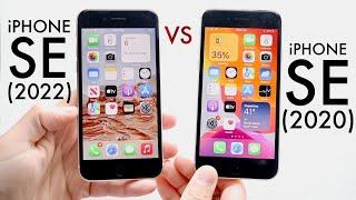 iPhone SE 2022 Vs iPhone SE 2020 In 2023 Comparison Review