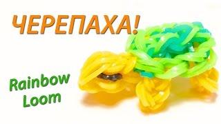 Черепаха из резинок Rainbow Loom Bands. Урок 67  A turtle made of rubber bands