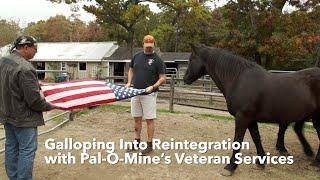 Galloping Into Reintegration with Pal-O-Mines Veteran Services