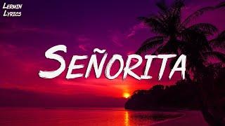 Señorita - Shawn Mendes Lyrics  Ed Sheeran One Direction Ali Gatie... MIX LYRICS