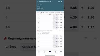 Прогноз на матч Сибирь — Салават Юлаев кэф 2.05