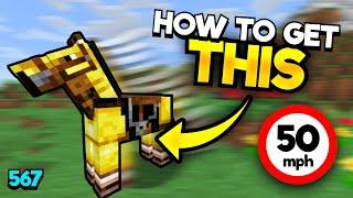 How To Breed Minecrafts FASTEST Horse In New Update