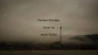 Feridun Düzağaç - Alev Alev Cover Melih Yıldız