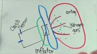 The Science Behind Airbags