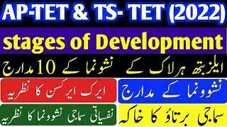 ts tet psychology  stages of development  tet psychology imp bits  pattern of social behaviour