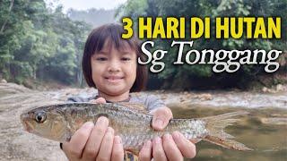 3 Hari Camping di Sungai Tonggang Perak Catch and Cook Masak Tepek Kembong Ikan Tengas