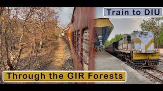 JUNAGARH to DELVADA  Meter Guage Train Journey to DIU via Gir Forests  March 2022