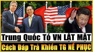 Trung Quốc TỐ Việt Nam LẬT MẶT Và Cách VN Đáp Trả Khiến Cả TG NGỠ NGÀNG