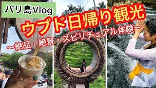 バリ島Vlog【ウブド日帰り観光 2023】絶品・絶景・スピリチュアル体験など、盛り沢山ツアー！