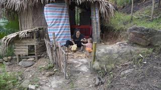 Selling jackfruit helps a poor old man living alone - gardening