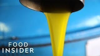 How Traditional Italian Olive Oil Is Made  Regional Eats