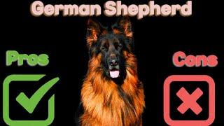 The Pros and Cons of Owning a German Shepherd Is This Breed Right for You?