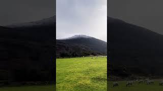 Mystical Snowy mountains of Kerry #shorts #asmr #druid
