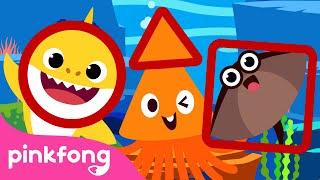 Learn Shapes with Squid & Baby Shark ◾️ +Compilation  Pinkfong Shape Songs for Children