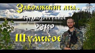 Заволжские леса. Поход на труднодоступное озеро Шумское Full HD