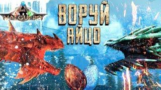 КАК ПОЛУЧИТЬ ЯЙЦО ЛЕДЯНОЙ И ОГНЕННОЙ  ВИВЕРНЫ НА НОВОЙ КАРТЕ VALGUERO - ARK Survival Evolved