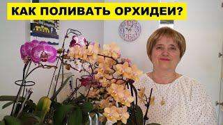 КАК ПОЛИВАТЬ ОРХИДЕИ..ФАЛЕНОПСИСЫ И КАТЛЕИ..HOW TO WATER AN ORCHID