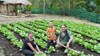 clean up the farm expand the vegetable garden farm life