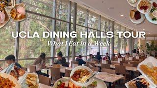 UCLA Dining Hall Tours What a UCLA Student Eats in a Week