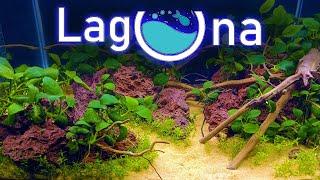 Новинки от Laguna для аквариума травника и акваскейпа