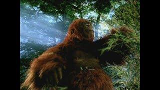 TRILOGY OF LIFE - Walking with Cavemen - Gigantopithecus