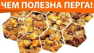 Перга – пчелиный хлебушек. Лечебные свойства перги. Пчелиная перга – полезные свойства и применение