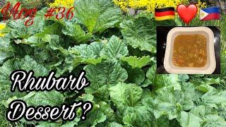 HOW TO MAKE RHUBARB DESSERT  PINAY IN GERMANY