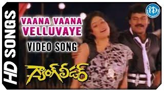 Vaana Vaana Velluvaye Video Song - Gang Leader Movie  Chiranjeevi  Vijayashanti  Bappi Lahiri