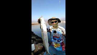 Espada para sa pusa  Ultralight fishing   SanaAll Angler  Salalah Oman.