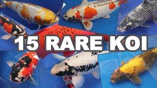 15 Most RARE and BEAUTIFUL KOI Fish Varieties