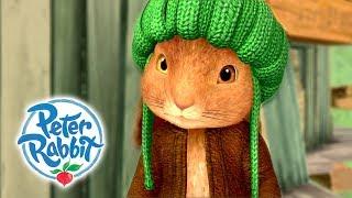 Peter Rabbit - Benjamin Bunny  Rabbits are Brave  Cartoons for Kids 