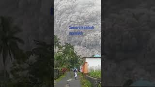 Sameru erupsi #berita hari ini 4 Desember 2021